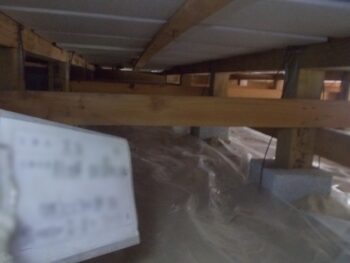 シロアリ駆除工事